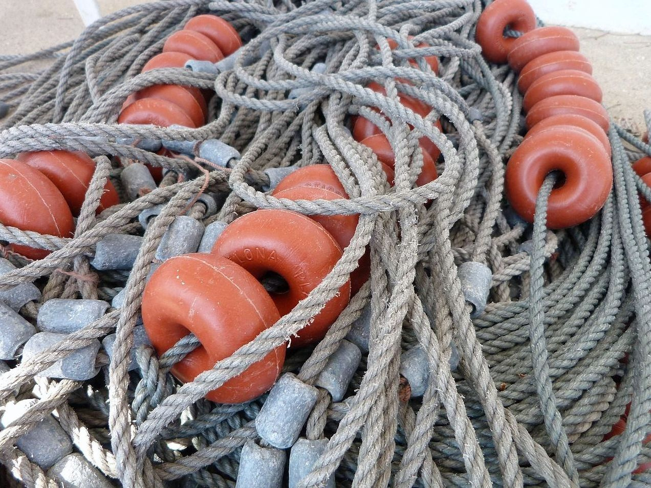 Pesca Tecnológica no Terraço